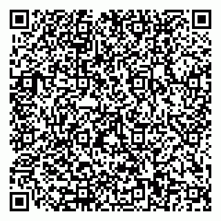 vCard 79110400199