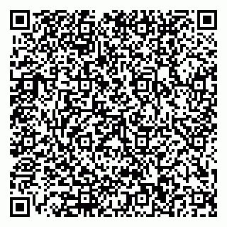vCard 79110400201