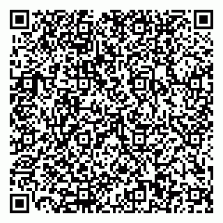 vCard 79110400208