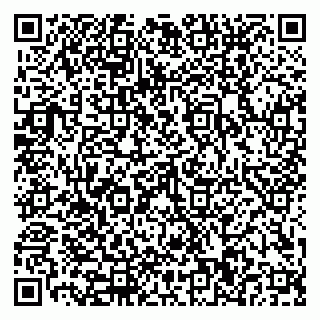 vCard 79110400211