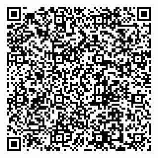 vCard 79110400213