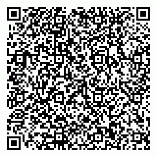 vCard 79110400214