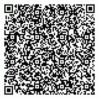 vCard 79110400216