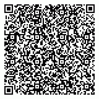 vCard 79110400217