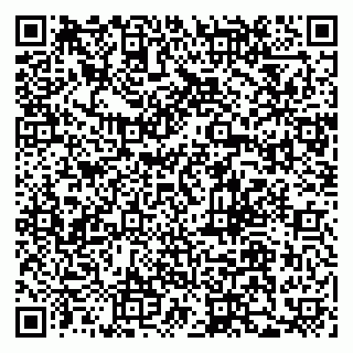vCard 79110400218