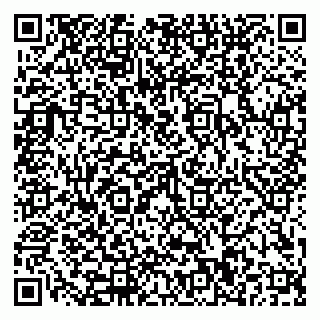 vCard 79110400233