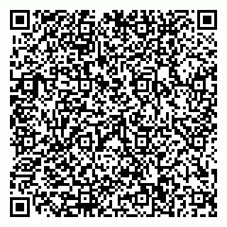 vCard 79110400235