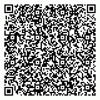 vCard 79110400237