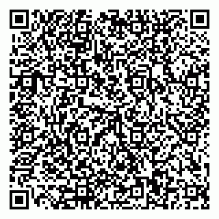 vCard 79110400239
