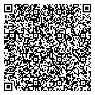 vCard 79110400240