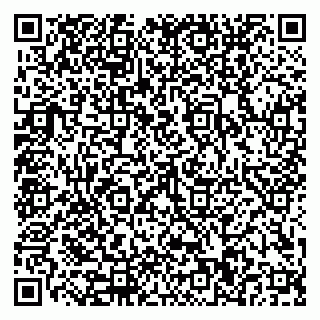 vCard 79110400241
