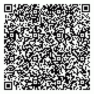 vCard 79110400250