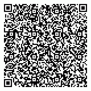 vCard 79110400251