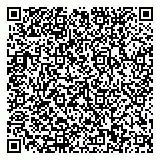 vCard 79110400258