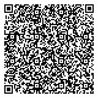 vCard 79110400259