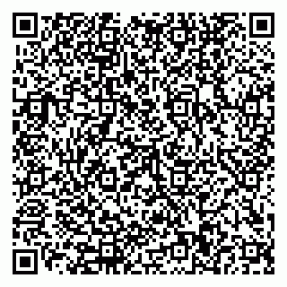 vCard 79110400261