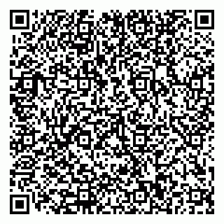 vCard 79110400263