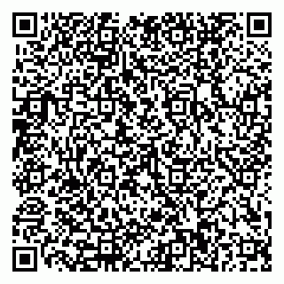 vCard 79110400265