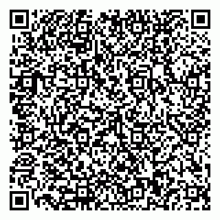 vCard 79110400270