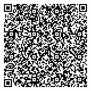 vCard 79110400272