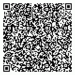 vCard 79110400273
