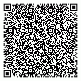 vCard 79110400274