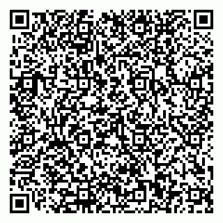 vCard 79110400278