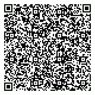 vCard 79110400290