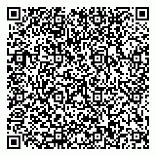 vCard 79110400291