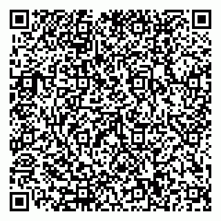 vCard 79110400293