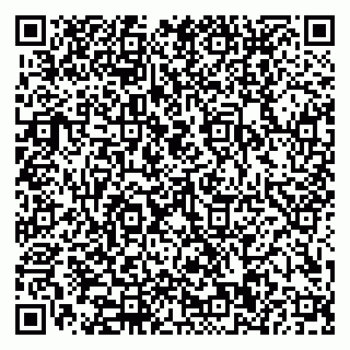 vCard 79110400294