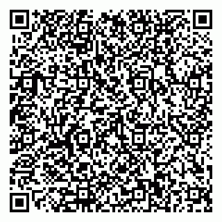 vCard 79110400295