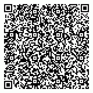vCard 79110400297