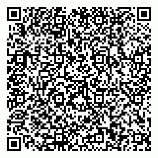 vCard 79110400298