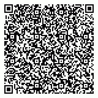 vCard 79110400300