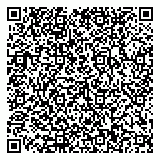 vCard 79110400301