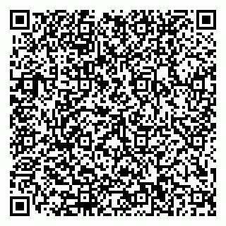 vCard 79110400305