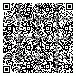 vCard 79110400308