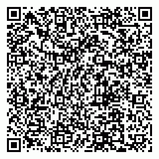 vCard 79110400311