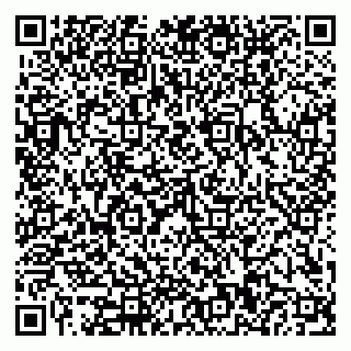 vCard 79110400312