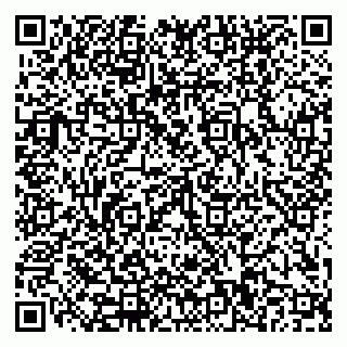 vCard 79110400313