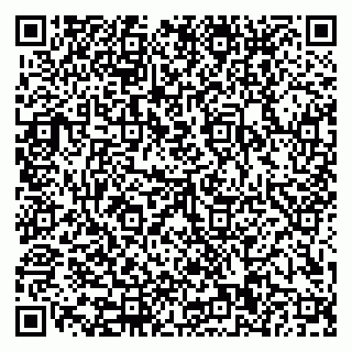 vCard 79110400314