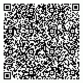vCard 79110400315