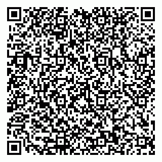 vCard 79110400316