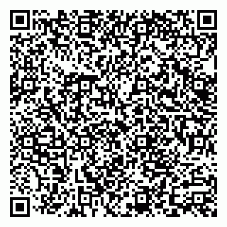 vCard 79110400317