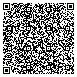 vCard 79110400319