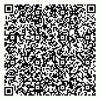 vCard 79110400320