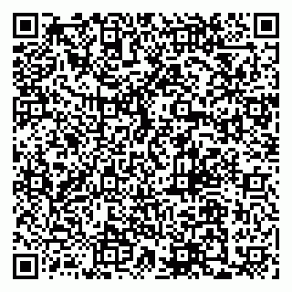 vCard 79110400321