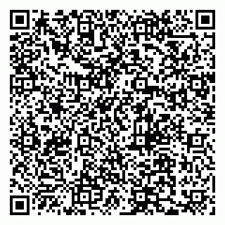 vCard 79110400324