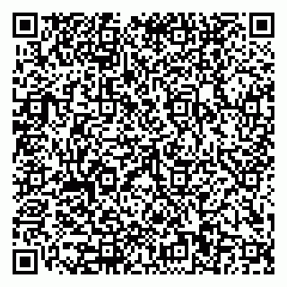 vCard 79110400329